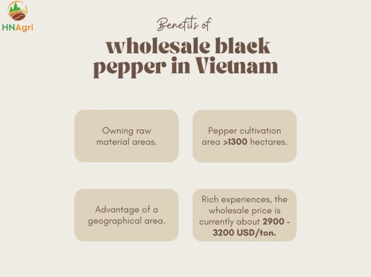 ground-black-pepper-wholesale-2