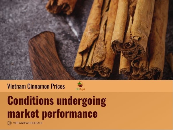 vietnam-cinnamon-price-2