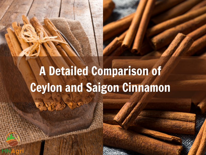a-detailed-comparison-of-ceylon-and-saigon-cinnamon