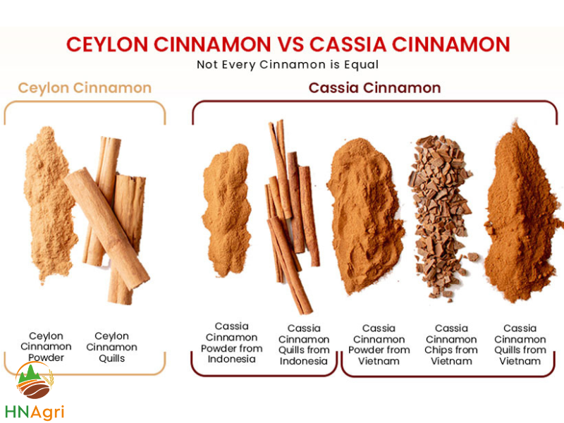 a-detailed-comparison-of-ceylon-and-saigon-cinnamon-1