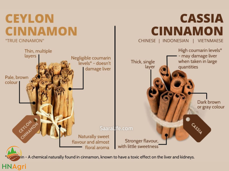 a-detailed-comparison-of-ceylon-and-saigon-cinnamon-2