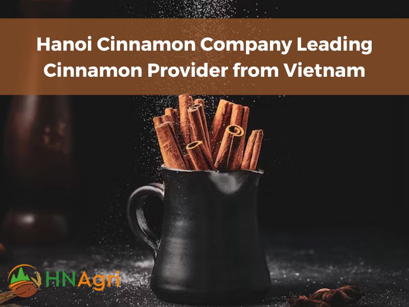 hanoi-cinnamon-company-leading-cinnamon-provider-from-vietnam-1