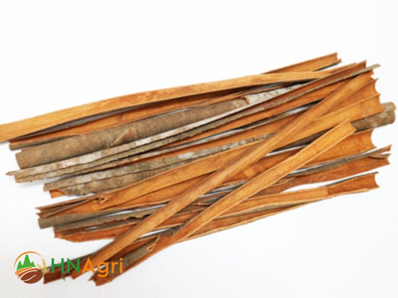 discover-vietnamese-split-cinnamon-unique-spice-experience-2