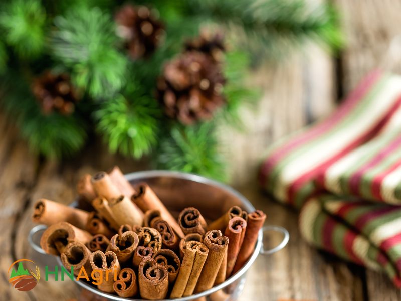 hanoi-cinnamon-company-leading-cinnamon-provider-from-vietnam-3